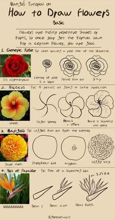 How To Draw Flowers, Canvas Aesthetic, Flower Drawing Tutorials, Draw Flowers, Simple Painting, Flower Art Drawing, Drawing Flowers, Painting Ideas On Canvas, Aesthetic Painting