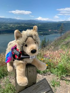 a teddy bear sitting on top of a wooden post