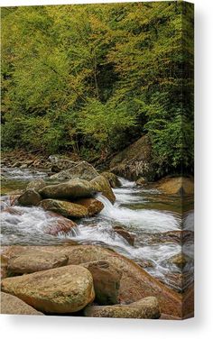 a river with rocks and trees in the background