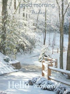 a path in the woods covered with snow