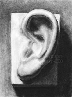 a black and white drawing of an ear