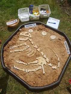 a sand tray with a skeleton in it and some plastic containers on the ground next to it