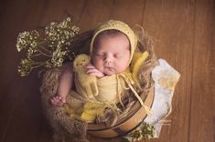 a newborn baby sleeping in a basket with a stuffed animal next to its ear and head