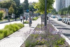 people are walking and riding bikes on the sidewalk in front of parked cars, along with purple flowers