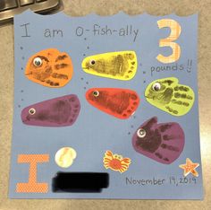 a paper cut out with different types of fish on it and the words i am o - fish ally