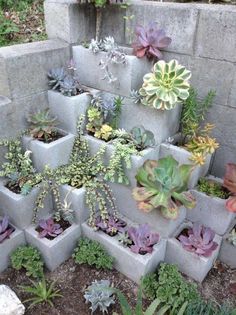 several cement planters with succulents and plants in them on the ground