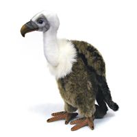 a stuffed bird is sitting on the ground with its head turned to look like an eagle