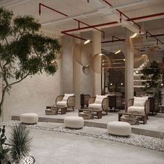 a room filled with lots of chairs and tables next to a tall plant in the middle