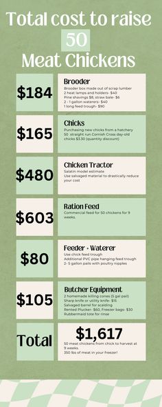 the cost to raise meat chickens info sheet