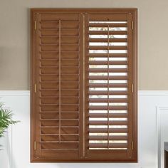 a window with wooden shutters in a living room next to a potted plant