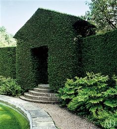 a house covered in green ivy next to a small pond with steps leading up to it