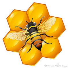 a bee sitting on top of a honeycomb in front of a white background,