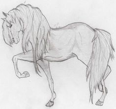 a pencil drawing of a horse with long manes and tail, standing on its hind legs