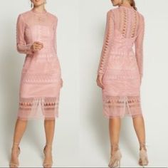 Brand New With Tags Color Is Vin Rose Slim Fit Silhouette High Neck Long Sleeve Partially Lines Zipper Closure In Back Bardot Dress, High Neck Long Sleeve, Size 8 Dress, Lace Dress, Colorful Dresses, High Neck, Slim Fit, Brand New, Womens Dresses