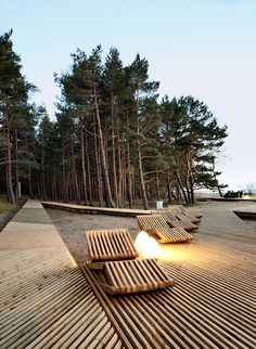 two wooden benches sitting on top of a sandy beach next to pine trees and water