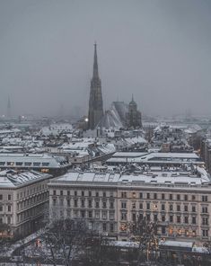 the city is covered in snow and it looks like it has been taken over town