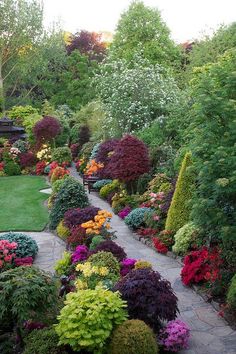 a garden filled with lots of different types of flowers