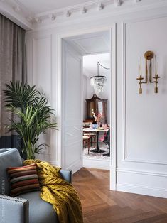 a living room filled with furniture and a large plant in the middle of the room