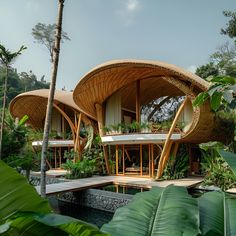 the house is made out of bamboo and has an unusual roof that wraps around it