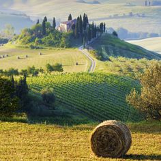 a field with hay bales in the foreground