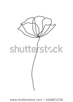 a single line drawing of a flower on a white background stock photo © shutterstocker