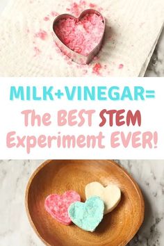 Milk Preschool Activities, Preschool Science Experiments At Home, Milk Into Plastic Experiment, Easy Homeschool Science Experiments, Milk And Vinegar Experiment, Homeschool Science Experiments 1st Grade, Valentines Steam Activities For Kids, Mother's Day Science Experiment, Household Science Experiments