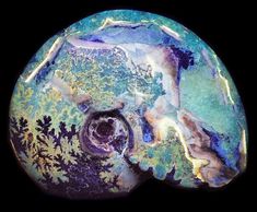 an image of a piece of art with the title 26 opalesd ammonite