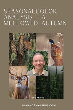 the cover of seasonal color analyses - a mellowed autumn