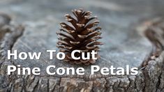 a pine cone sitting on top of a piece of wood with the words how to cut pine cone petals