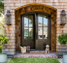 a dog sitting in front of a brown door with two planters on the side