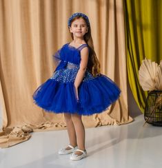 Fairy Princess Costume, Baby Birthday Dress, First Birthday Dresses, Birthday Girl Dress, Sequin Party Dress, Blue Birthday, Sparkle Dress, Prom Gown, Toddler Dress