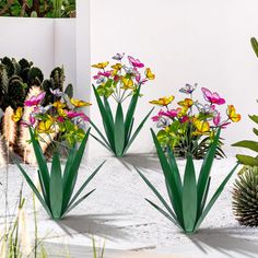 three planters with flowers in them sitting on the ground next to cactuses and succulents