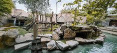 an artificial pond in the middle of a park with large rocks and trees around it