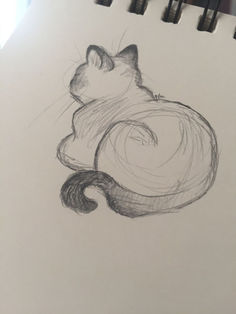 a pencil drawing of a cat curled up in a ball on top of a piece of paper