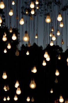 many light bulbs are hanging from the ceiling in front of trees at night with lights on them