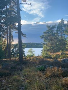 the sun shines through the trees and over the water in the distance is an island