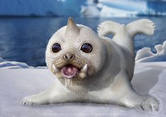 a white seal with blue eyes laying in the snow next to an ice floet