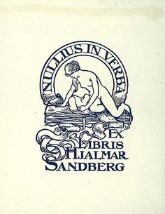 an image of a logo for the san diego sandbergg museum in blue ink on white paper