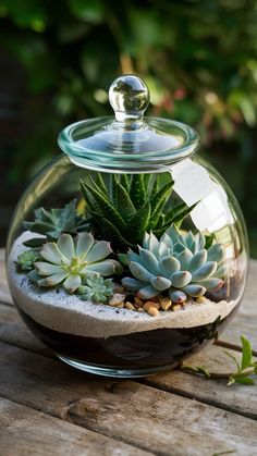 a glass bowl filled with succulents on top of a wooden table