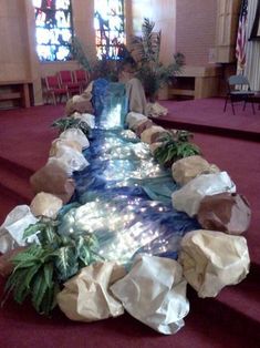 a very nice looking room with some rocks and plants on the ground in front of it