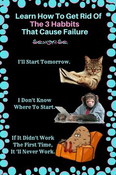 a poster with an image of a cat and a dog on it that says learn how to get rid of the 3 habitts that cause failure