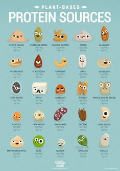 Eating Protein, Plant Based Protein Sources, Vegan Protein Sources, Food Infographic, Eating Breakfast, High Protein Vegan, Happy Kitchen, Vegan Nutrition