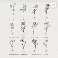 the different types of flowers are shown in black and white on a sheet of paper