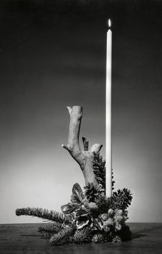 a black and white photo of a candle surrounded by pine cones, branches and other foliage