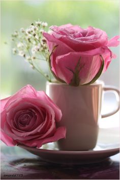 pink roses in a coffee cup with the words good morning on it and a heart