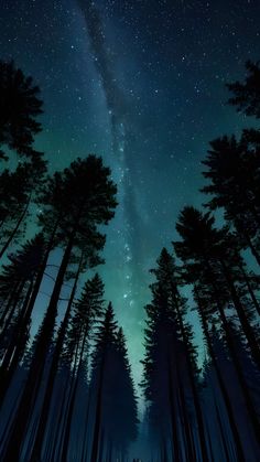 the night sky is filled with stars and trees