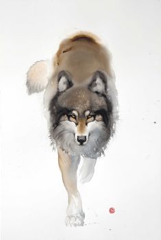 Karl Martens Works | Cricket Fine Art Valerie Davide, Animal Watercolor, Wolf Artwork, Wildlife Artwork, Sketch Books, Spirit Animals, Futuristic Interior