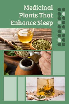 Sleep better plants Homestead Apothecary, Herbal Tea Garden, Sleeping Tips, Natural Hair Care Routine, Homemade Ideas, Sleep Tea, Herb Gardening, Sleep Remedies