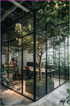 an office with glass walls and trees in the center, surrounded by potted plants