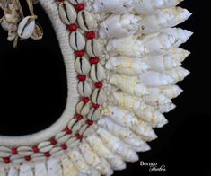 A beautiful handmade necklace of white woven Rope, decorated with three bands of white curled Shells. The inner band of the necklace is decorated with two lines of cream Cowrie Shells and red painted round Wood beads. The white curled Shells are between 1.5 inches, and 2.1 inches in drop length. The maximum inner width of the necklace is 5.5 inches, and the maximum outer width is 16 inches. The necklace has a drop length, from the top, of 13.5 inches, and is finished by two groups of eight cream Bohemian White Shell Strand Necklace, White Handmade Strand Jewelry, Handmade White Strand Jewelry, White Unique Shell Necklace, White Bohemian Shell Necklace For Festival, Handmade Adjustable White Shell, White Handwoven Festival Necklace, Bohemian White Shell Necklace For Festival, Unique Handmade White Shell Necklace